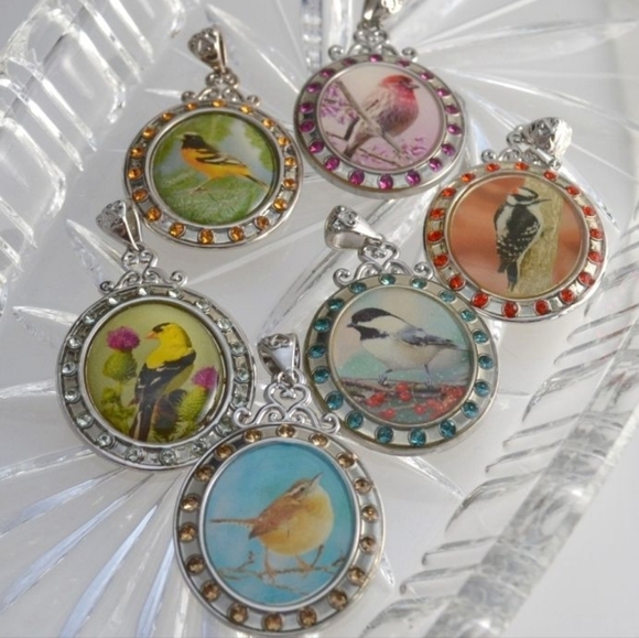 willabee & ward Jewelry - Willabee&Ward Swarovski Songbird Birth Month Pendants Set